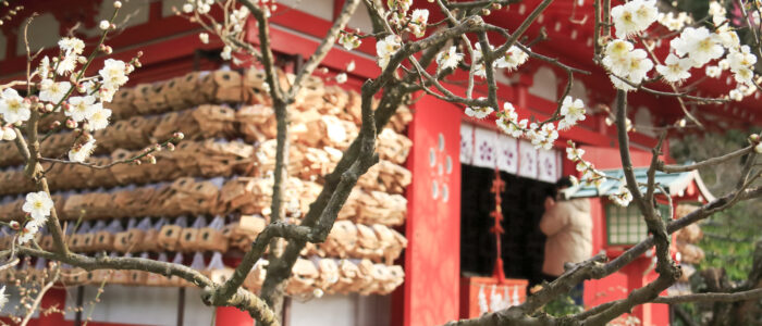 荏柄天神社の梅